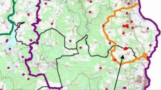 En el siguiente mapa se pueden observar los límites de la zona núcleo (amarillo), infectada (morado) y tampón (verde) así como la localización de los casos de jabalíes hallados (asterisco) y de las explotaciones porcinas (puntos rojos). Fuente: MAPA.