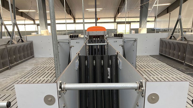 Centro: Puerta de salida de TriSortpro, el comedero automático DryWet a la izquierda y a la derecha. Los tubos negros impiden que los cerdos regresen a la estación. 