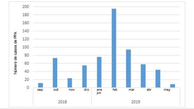 Nombre mensuel de sangliers positifs découverts en Belgique depuis le premier cas en septembre 2018 (source : ADNS au 08/07/2019).