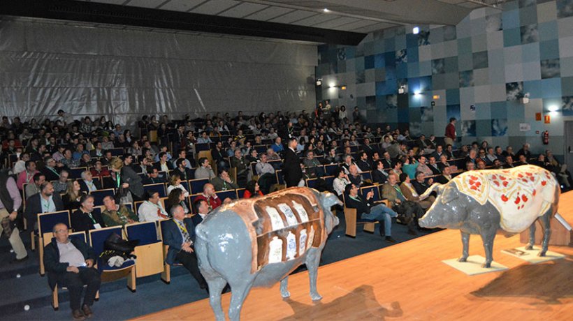 El auditorio estaba abarrotado.
