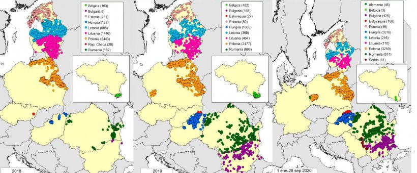 Mapa de casos en jabal&iacute;es declarados en 2018, 2019 y 2020 (hasta 28 septiembre2020) (Fuente: MAPA a partir de datos de RASVE-ADNS)
