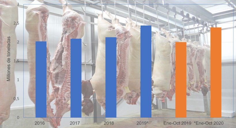 Exportaciones españolas de productos porcinos. Fuente 333 a partir de datos de Inteporc.
*Datos provisionales