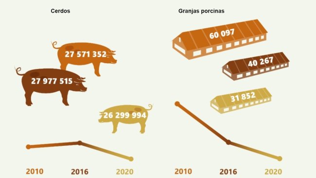 Evolución del censo y granjas porcinas en Alemania 2010-2020. Fuente: Destatis
