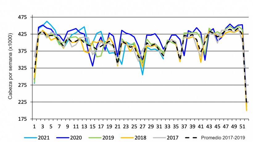 Sacrificio porcino semanal en el mercado federal canadiense. Fuente: USDA from&nbsp;Agriculture and Agri-Food Canada.
