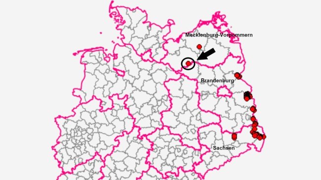El hallazgo se ha producido en Marnitz en el distrito de Ludwigslust-Parchim. Fuente: TSIS.