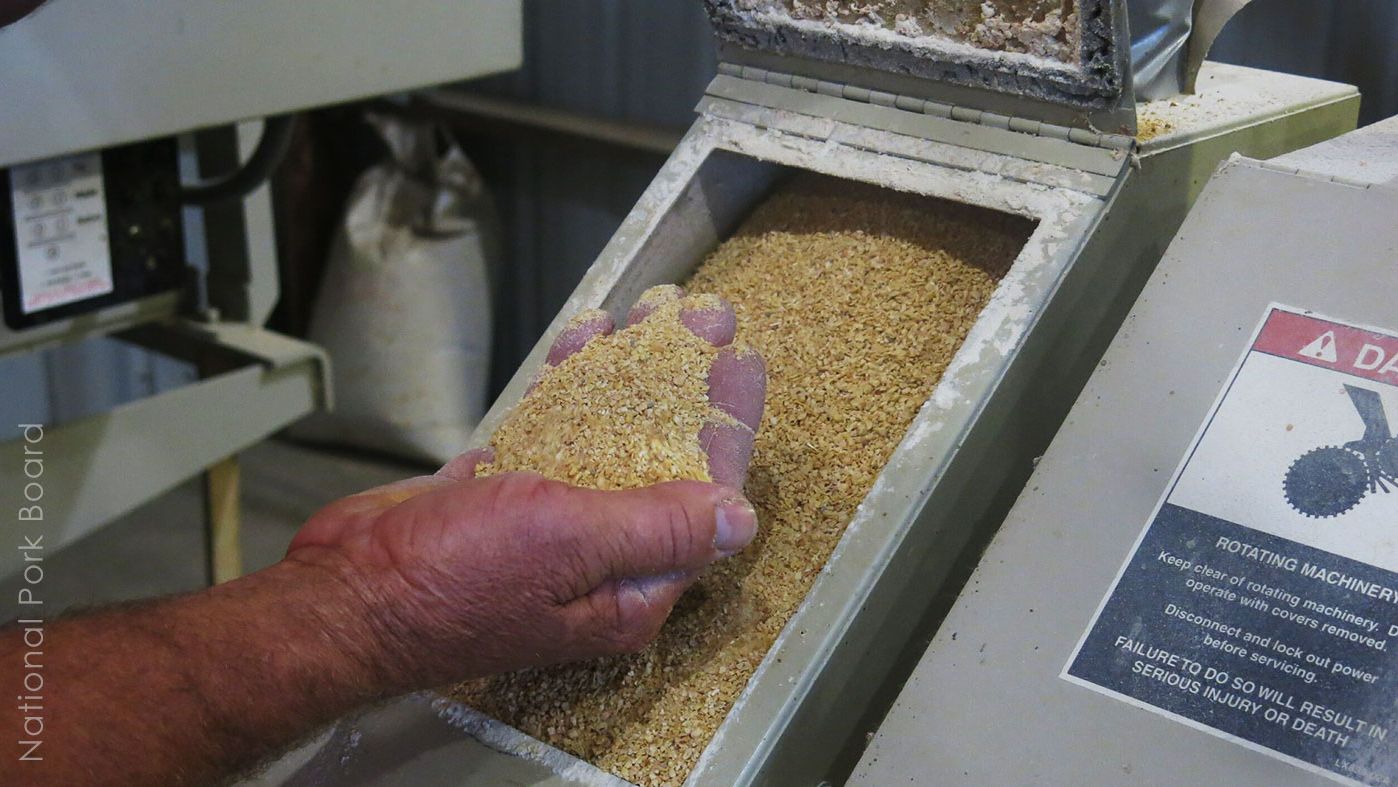 Salvado de trigo: la mejor fibra en cereales