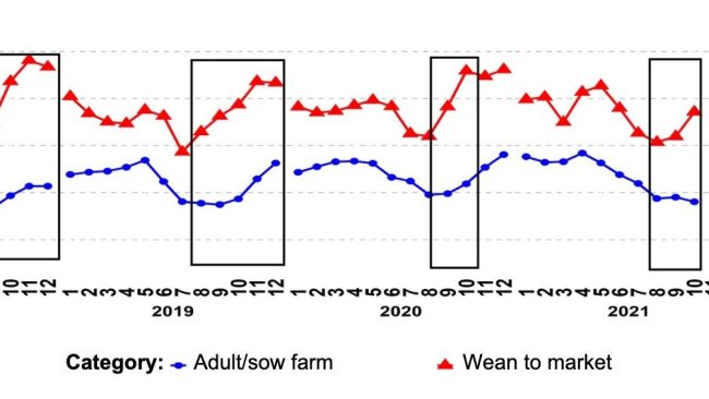 Gráfico 1. Porcentaje de muestras PCR positivas para las categorías de reproductores y de cerdos de destete a venta. Los recuadros negros muestran los picos más acentuados y/o más tempranos en los datos de destete a venta en comparación con los de las explotaciones de reproductores/cerdas. Fuente: ISU-VDL: Iowa State University Veterinary and Diagnostic Laboratory; UMN-VDL: University of Minnesota Veterinary and Diagnostic Laboratory; SDSU-ADRDL; South Dakota State University Animal Disease Research and Diagnostic Laboratory; KSU-VDL: Kansas State University Veterinary and Diagnostic Laboratory; OH-ADDL: Ohio Animal Disease and Diagnostic Laboratory.