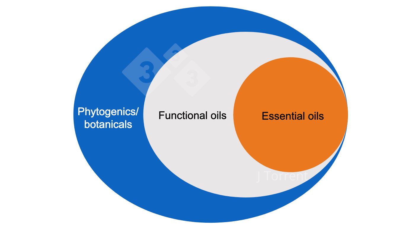 Figura 1.&nbsp;Ilustraci&oacute;n de la terminolog&iacute;a utilizada para describir los aceites esenciales, los aceites funcionales y los productos bot&aacute;nicos o fitog&eacute;nicos.
