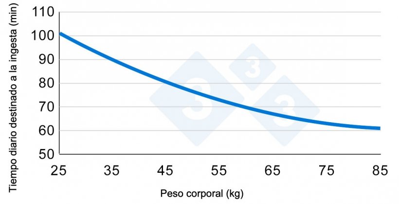 Gr&aacute;fica 2. Variaci&oacute;n del tiempo dedicado a la ingesta durante el crecimiento de los cerdos. Adaptado de Hyun et al., 1997.
