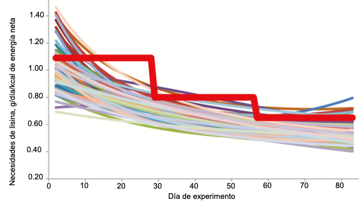 Figura 1. Necesidades estimadas de lisina digestible &iacute;leal&nbsp;de los cerdos individualmente (l&iacute;neas finas de color) y niveles m&iacute;nimos de lisina digerible por el &iacute;leon que deben recibir los cerdos alimentados en un sistema de alimentaci&oacute;n en grupo convencional de tres fases (l&iacute;nea roja en negrita) seg&uacute;n Hauschild et al. (2010).
