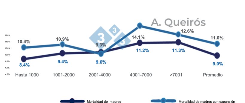 Figura 5: Mortalidad de cerdas en granjas estabilizadas o en expansi&oacute;n. Base de datos de 240 000 cerdas de 133 granjas brasile&ntilde;as. Queir&oacute;s, 2022: Presentaci&oacute;n oral de Sinsui.
