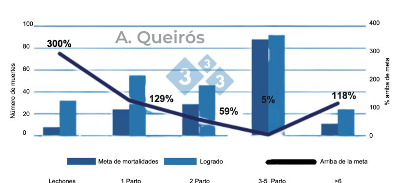 Figura 6: Estratificaci&oacute;n de la mortalidad por ciclo de cerda (N&uacute;mero de parto). Base de datos de 240 000 cerdas de 133 granjas brasile&ntilde;as. Queir&oacute;s, 2022: Presentaci&oacute;n oral de Sinsui.
