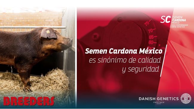 Noticias de empresa - Genética y Reproducción - 3tres3 México, la página  del Cerdo