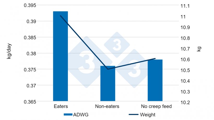 Figura 6. Ganancia diaria de peso y peso seg&uacute;n hayan comido o no pienso pre-starter antes del destete (0-28 d). Fuente:&nbsp;Sulabo et al. 2014.
