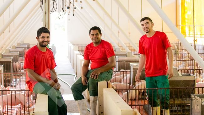 El personal cuando se encuentra en un lugar seguro y confiable suelen expresarse abiertamente sobre lo que piensan, sienten y creen, aportando valiosas contribuciones para mejorar el trabajo en el equipo y los resultados