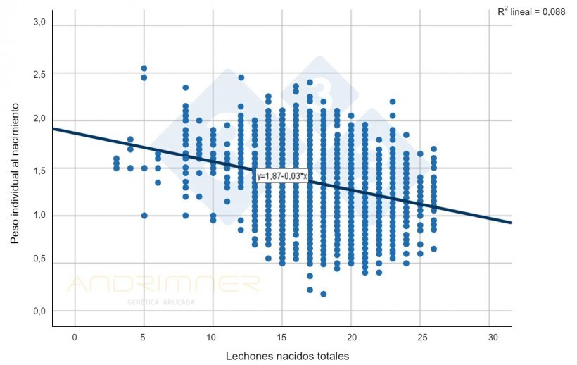 Gr&aacute;fico 1. Curva de regresi&oacute;n de Nacidos totales y peso individual al nacimiento. Fuente: Javier Lorente. Granja comercial, 3483 lechones pesados individualmente 2021.
