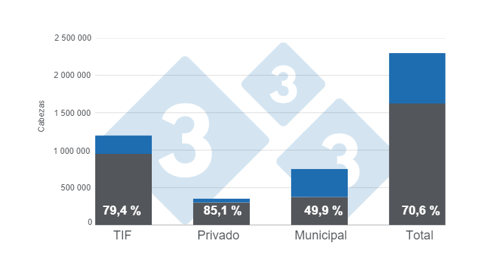 Gr&aacute;fico 1: Capacidad instalada para beneficio de porcinos por tipo de rastro, n&uacute;mero m&aacute;ximo de cabezas y porcentaje de utilizaci&oacute;n.&nbsp;

Elaborado por el Departamento de Econom&iacute;a e Inteligencia de Mercados de 333 Latinoam&eacute;rica con datos del Servicio de Informaci&oacute;n Agroalimentaria y Pesquera (SIAP).&nbsp;

&nbsp;
