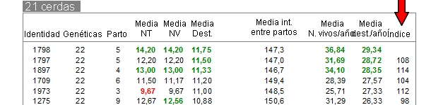 R&aacute;nking de resultados de cerdas