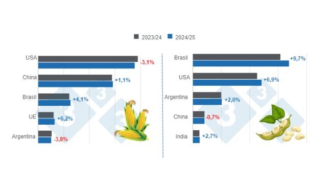 Gráfico 1. Proyección de cosecha para los principales productores mundiales de maíz y soya - campaña 2024/25 versus ciclo 2023/24. Elaborado por el Departamento de Economía e Inteligencia de Mercados con datos de FAS – USDA.