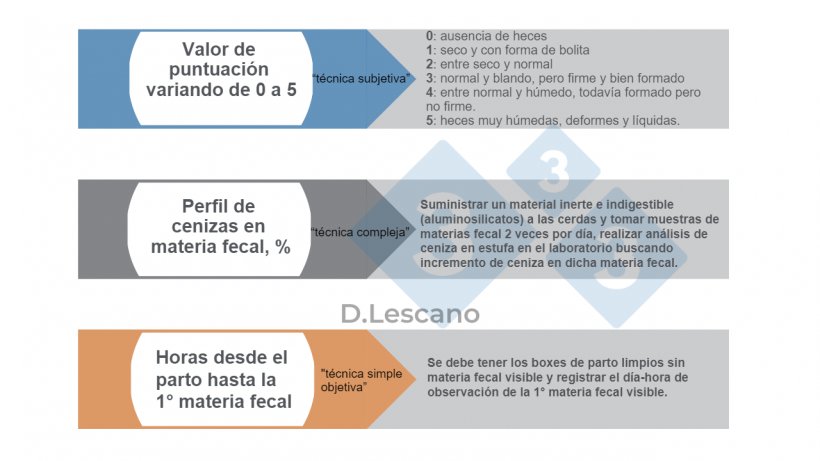 Figura 1. T&eacute;cnicas para medici&oacute;n de la incidencia de constipaci&oacute;n en cerdas.&nbsp;
