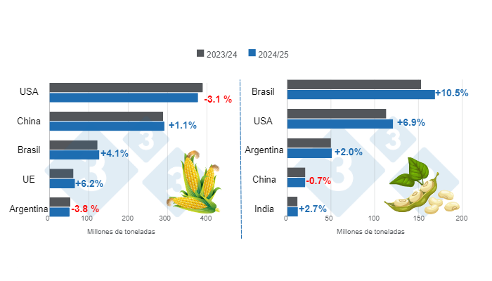 Gr&aacute;fico 1. Proyecci&oacute;n de cosecha para los principales productores mundiales de ma&iacute;z y soya - campa&ntilde;a 2024/25 versus ciclo 2023/24.&nbsp;Elaborado por el Departamento de Econom&iacute;a e Inteligencia de Mercados con datos de FAS &ndash; USDA.
