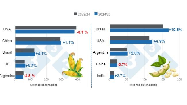 Gráfico 1. Proyección de cosecha para los principales productores mundiales de maíz y soya - campaña 2024/25 versus ciclo 2023/24. Elaborado por el Departamento de Economía e Inteligencia de Mercados con datos de FAS – USDA.