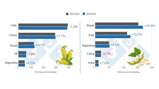 Gráfico 1. Proyección de cosecha para los principales productores mundiales de maíz y soya - campaña 2024/25 versus ciclo 2023/24 – última actualización: 12 de agosto de 2024. Elaborado por el Departamento de Economía e Inteligencia de Mercados con datos de FAS – USDA.
