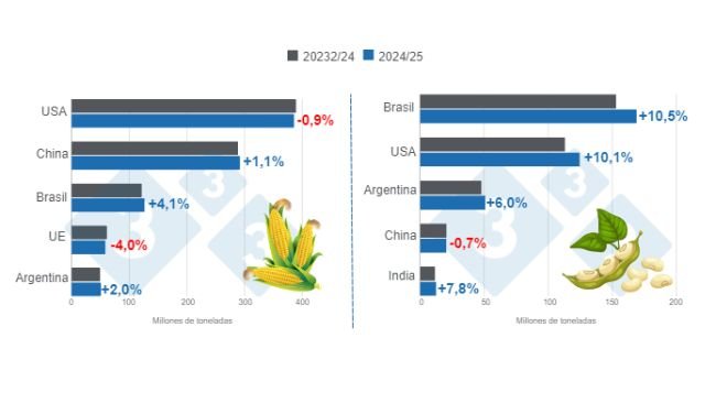 Gráfico 1. Proyección de cosecha para los principales productores mundiales de maíz y soya - campaña 2024/25 versus ciclo 2023/24 – última actualización: 11 de octubre de 2024. Elaborado por el Departamento de Economía e Inteligencia de Mercados con datos de FAS – USDA.