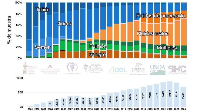 Figura 1. N&uacute;mero de casos y desglose por porcentaje de muestras analizadas para PRRSV mediante RT-PCR a lo largo del tiempo en EE.UU. (2001-2024). Imagen extra&iacute;da de la p&aacute;gina web del Swine Disease Reporting System (SDRS, https://fieldepi.org/domestic-swine-disease-monitoring-program/)
