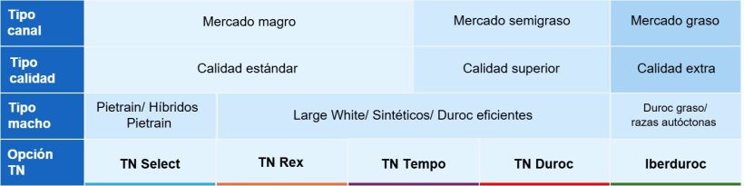 Tabla 1. Segmentaci&oacute;n mercado Espa&ntilde;a y tipos de machos.
