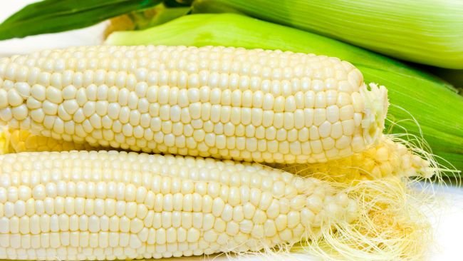 Maíz blanco