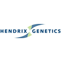 hendrix genetics