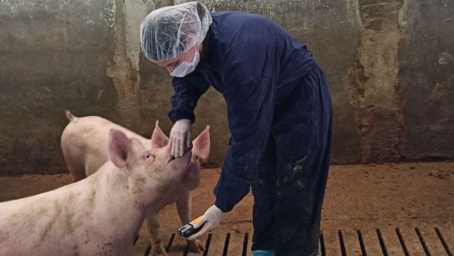 La vigilancia de la concentraci&oacute;n de gases deber&aacute; realizarse al menos una vez por estaci&oacute;n&nbsp;y en al menos tres corrales.
