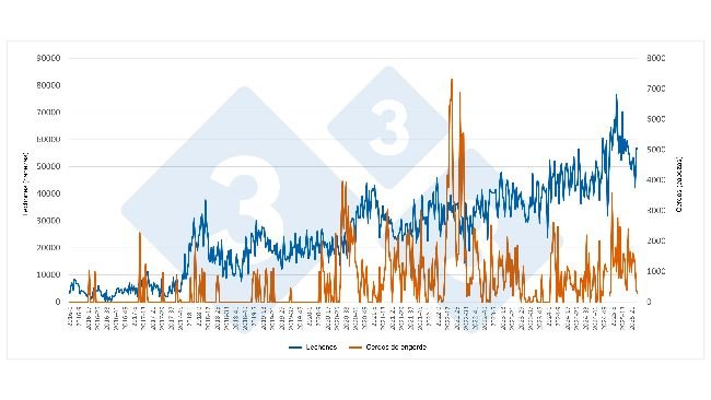 Evolución semanal de las importaciones españolas de lechones y cerdos de engorde procedentes de Países Bajos (enero 2016 – junio 2025). Fuente: Redacción 333 a partir de datos del RVO.