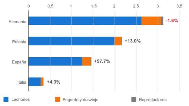 Importadores europeos de cerdos vivos en el primer trimestre de 2025/24 (millones de cabezas). Fuente: IFIP a partir de datos de Eurostat (aduanas)