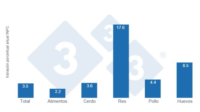 Gráfico 1: Variaciones porcentuales anuales del INPC total, alimentos y principales proteínas de origen animal – Primera quincena de agosto de 2025.
Elaborado por el Departamento de Economía y Sostenibilidad de 333 Latinoamérica con datos del Servicio de Información Agroalimentaria y Pesquera (SIAP).