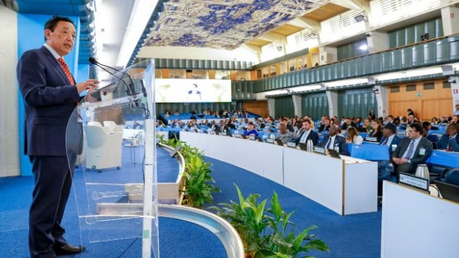 ©FAO/Giulio Napolitano