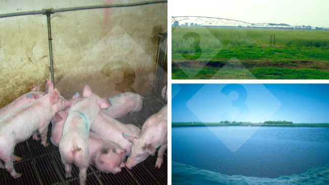 Figura 3. Un manejo inadecuado del bebedero repercute negativamente en gastos de explotaci&oacute;n y medio ambiente.
