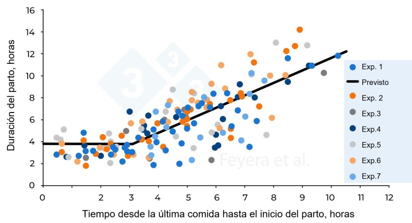 Figura 2. La relaci&oacute;n entre el tiempo transcurrido desde la &uacute;ltima comida hasta el inicio del parto y la duraci&oacute;n del parto.&nbsp;En el&nbsp;Exp. 1, las cerdas recibieron dos raciones diarias mientras que&nbsp;en&nbsp;los&nbsp;Exp. 2 a 7, las cerdas recibieron 3 raciones diarias. Los c&iacute;rculos de diferentes colores indican las cerdas individuales estudiadas en 7 experimentos previos, mientras que la l&iacute;nea continua indica los valores previstos. Feyera et al. (2018): Journal of Animal Science. 96: 2320&ndash;2331.
