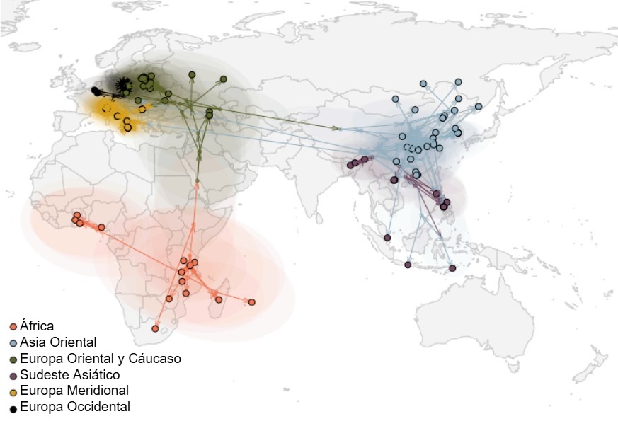 Figura 2. Propagaci&oacute;n global del virus de la PPA (Rossi et al. bioRxiv 2025).
