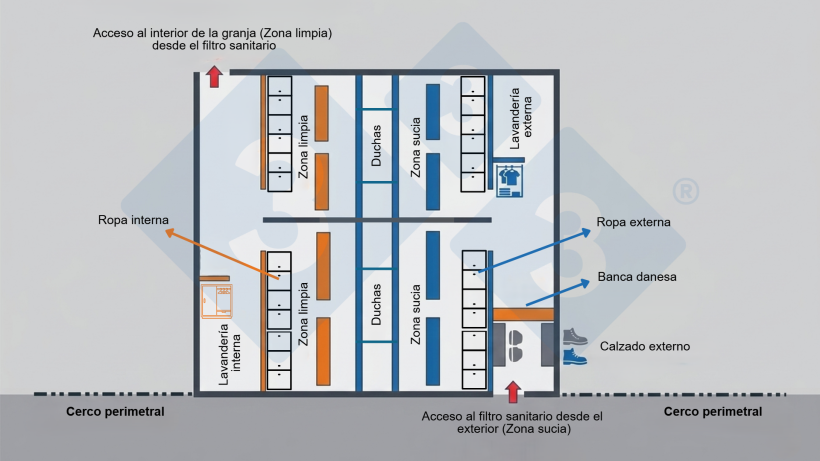 Figura 2. Diagrama de un filtro sanitario que detalla la separaci&oacute;n f&iacute;sica mediante bancos daneses para dejar calzado fuera del &aacute;rea de cambio de ropa y la secuencia obligatoria: zona sucia, duchas y zona limpia.