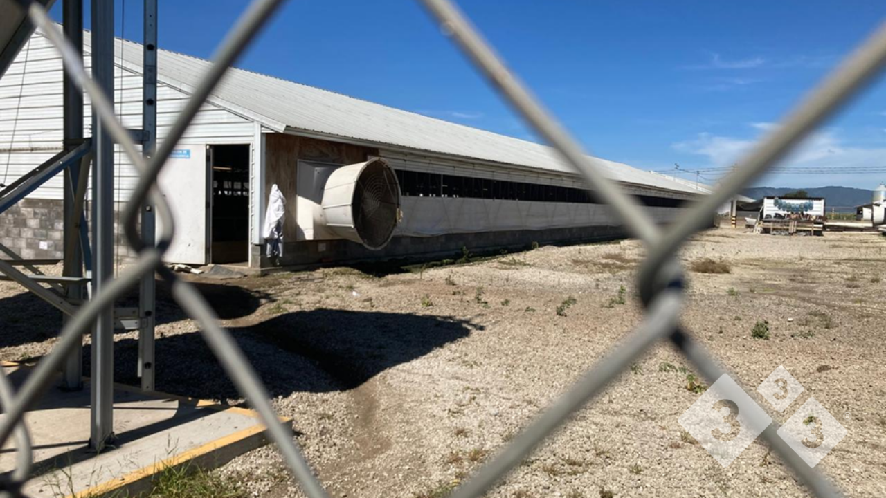 Imagen 1. Perspectiva desde el cerco perimetral hacia los pabellones, evidenciando c&oacute;mo la infraestructura limita los accesos no autorizados a la zona limpia.