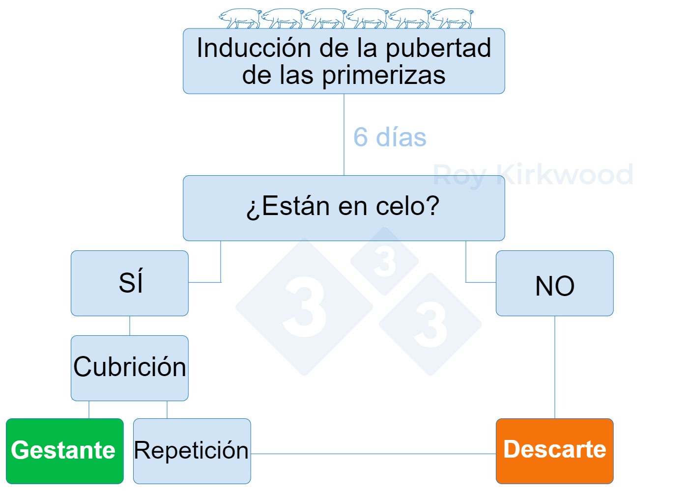 <p>Figura 2: Protocolo propuesto de acuerdo a la respuesta del tratamiento de inducci&oacute;n a&nbsp;la pubertad. Nota: si observas &lt; 70% de primerizas en celo a los 6 d&iacute;as despu&eacute;s del tratamiento--&gt; es probable que tengas problemas con la detecci&oacute;n del celo.</p>
