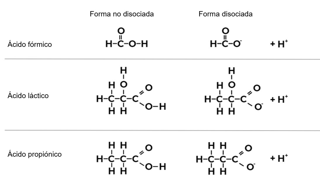 Figura 1. Fórmula química del ácido fórmico, ácido láctico, y ácido propiónico en su forma no disociada y disociada.