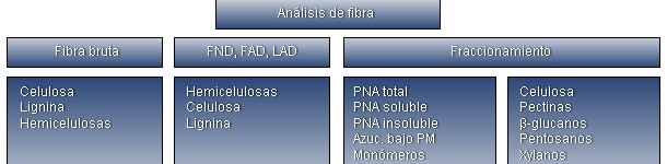 Resumen de las diferentes t&eacute;cnicas anal&iacute;ticas y fracciones de la fibra.