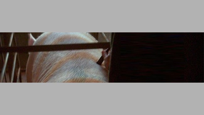 ¿Cuándo realizamos la toma de datos con el Renco?