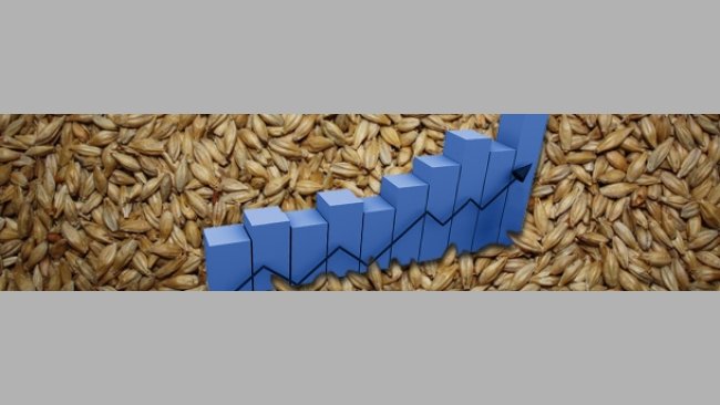 Los fondos que han invertido en materia primas los últimos meses han obtenido una rentabilidad próxima al 30% por lo que es casi imposible que salgan de los mercados de materias primas.