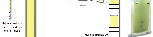  Representaci&oacute;n esquem&aacute;tica de las principales diferencias entre las mini-pajuelas pl&aacute;sticas de 0,25 ml, con Flat-bags simples (5 ml) y m&uacute;ltiples  (de 0,5-0,7 ml)
