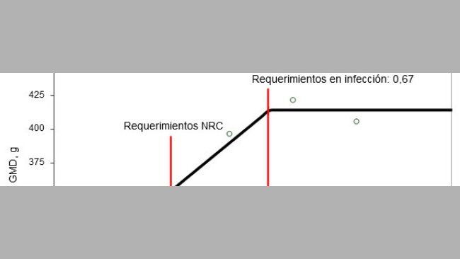 Requerimientos de digestibilidad ileal estandarizada para aminoácidos sulfurados determinados en lechones destetados infectados oralmente con una cepa enterotoxigénica de E. coli