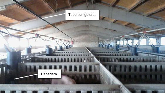 Granja
